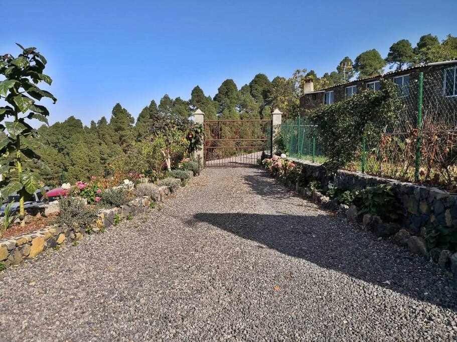 Finca Los Tamarillos Santa Cruz de Tenerife Exterior foto