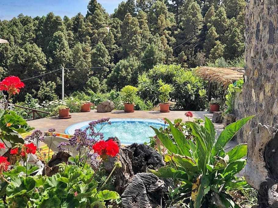 Finca Los Tamarillos Santa Cruz de Tenerife Exterior foto